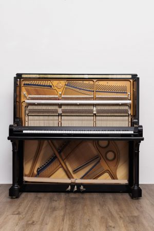 Blüthner Model S LC