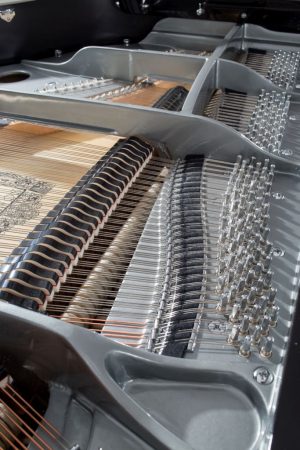 162_Detail_4_inside_2_web Feurich 162 LC NB