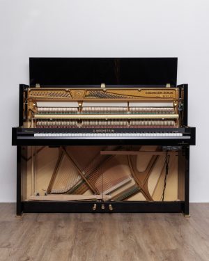 C.Bechstein Millenium Silence