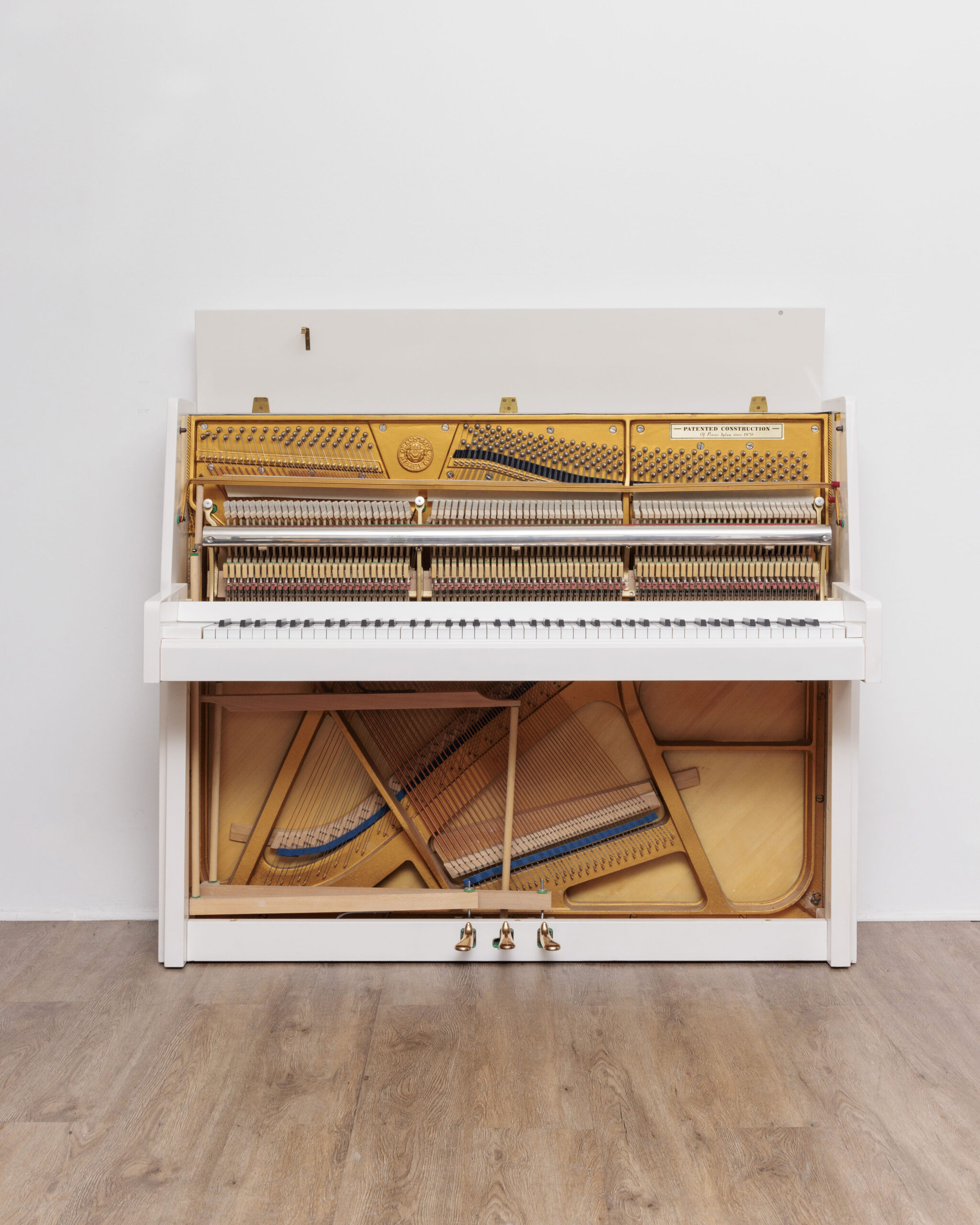 306_1 Schlogl 118 Moderna