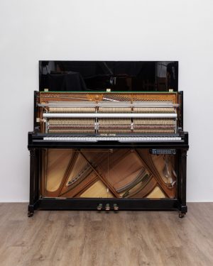 Young Chang 118 C silence