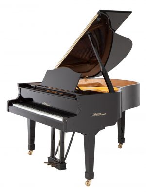 Blüthner Model 10 LC NB