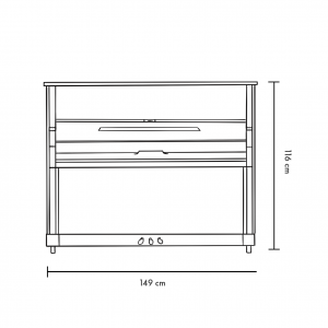 Blüthner Haessler HB 116