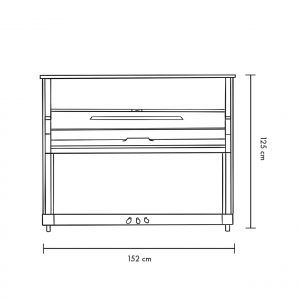 Blüthner Haessler HB 125