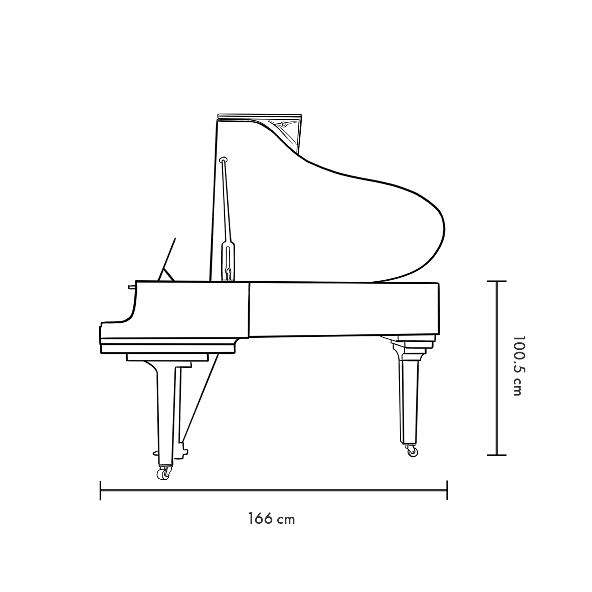 Blüthner Model 10-profil