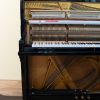 Schimmel 130 C Tradition