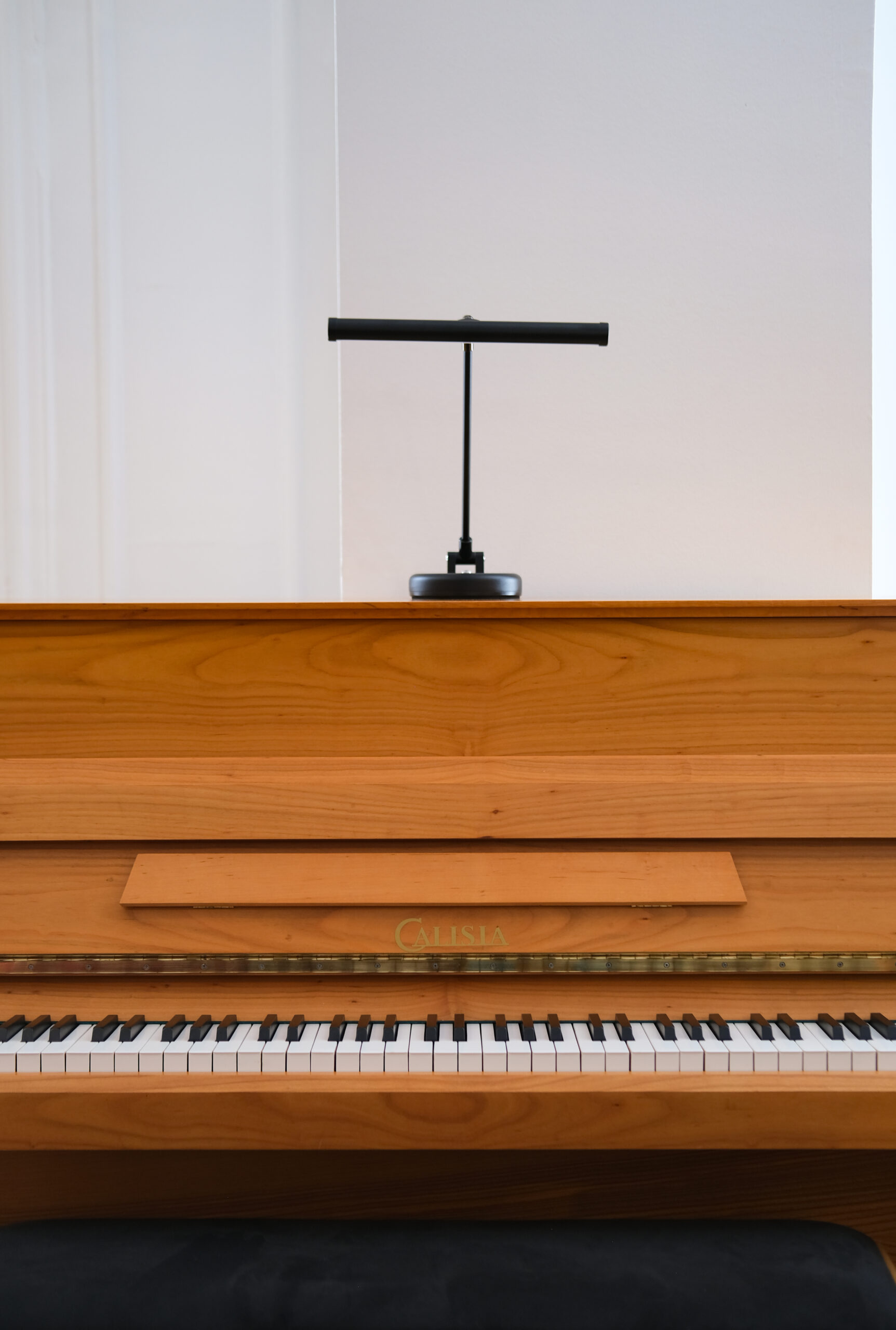 DSCF7634 Calisia Sarabande