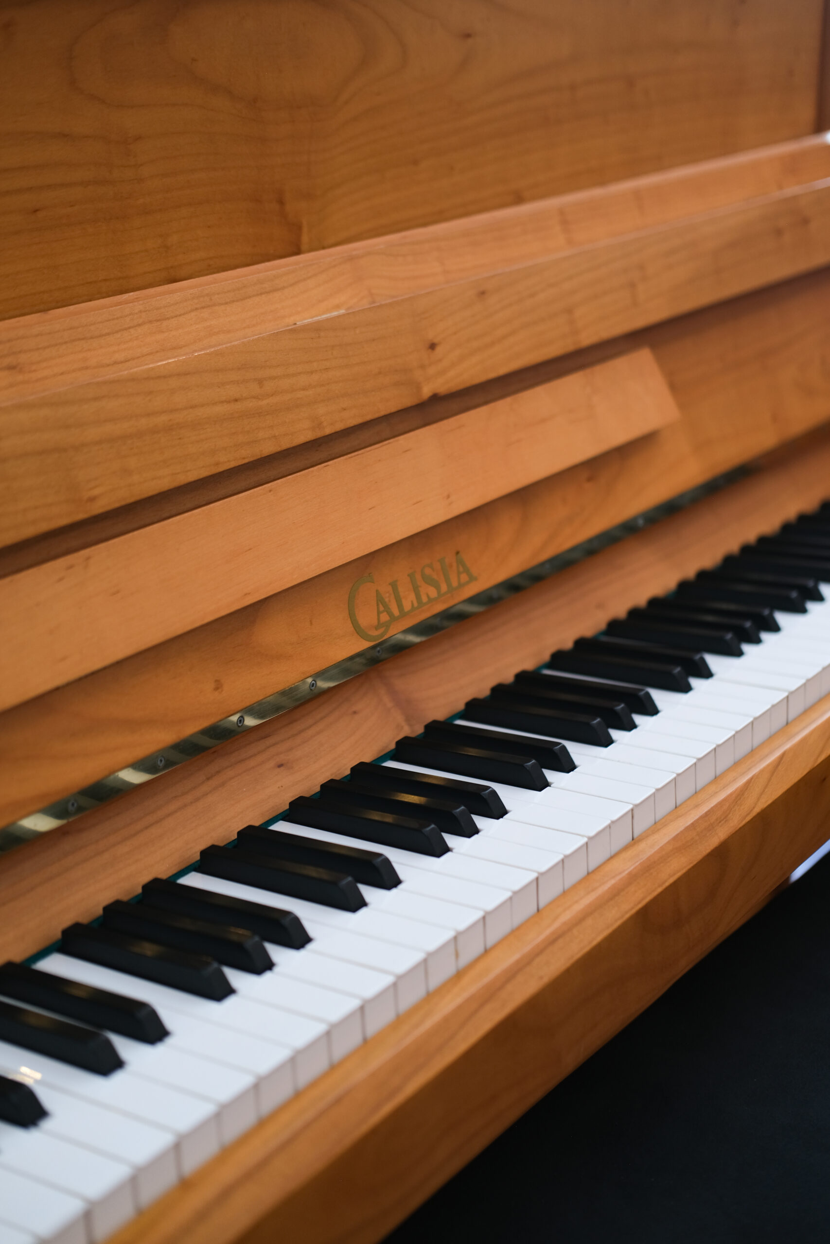 DSCF7637 Calisia Sarabande