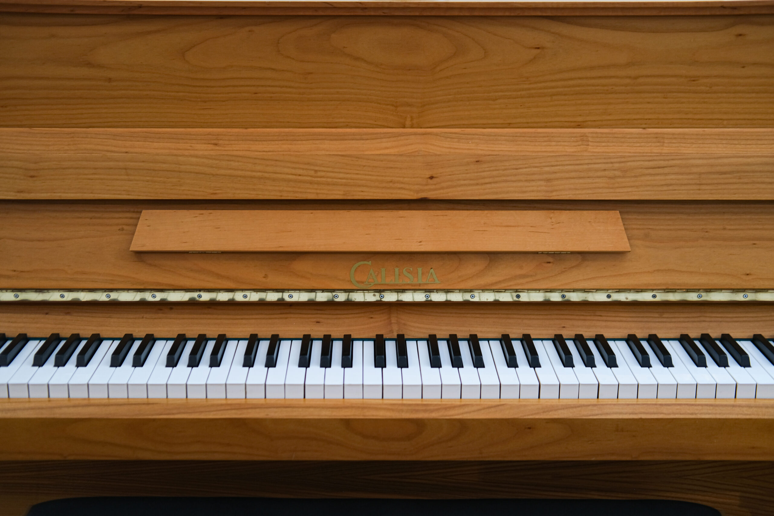 DSCF7650 Calisia Sarabande