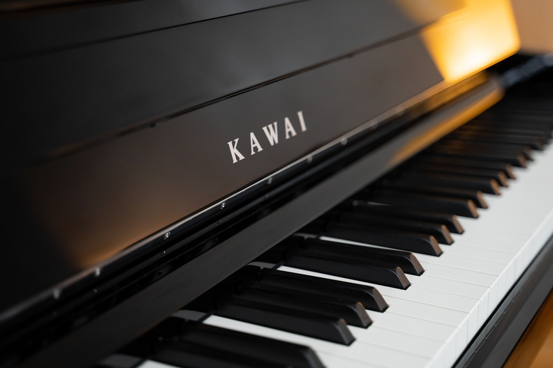 KAWAI-CA901EP-22-me