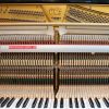 Schimmel 130 C Tradition