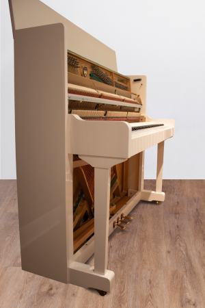 Weinbach 118 P1 Renner