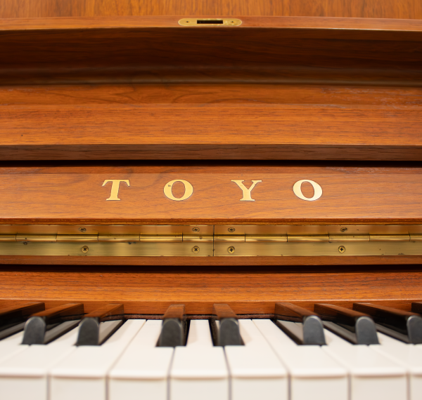 Toyo A370 Renner