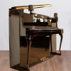 Schimmel Lampes