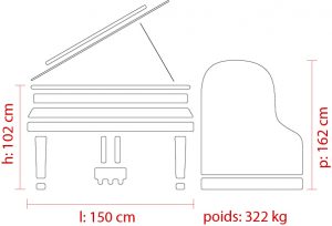 Feurich 162 Dynamic I