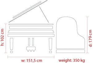 Feurich 179 Dynamic II
