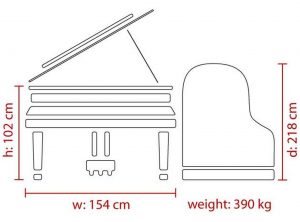 Feurich 218 Concert I
