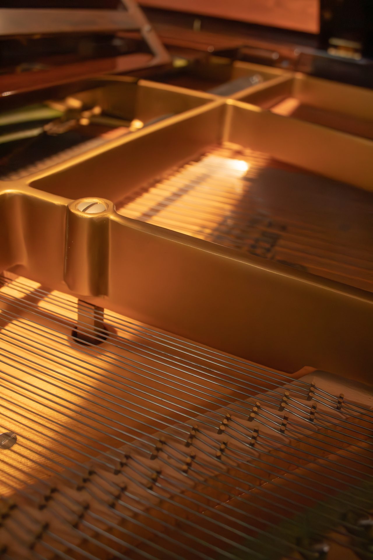 Bechstein-cordes C.Bechstein Model L 167