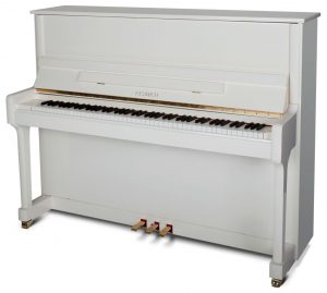 Feurich 122 Universal Neuf