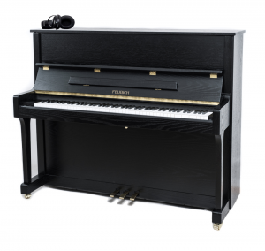 Feurich 122 Noir Silence