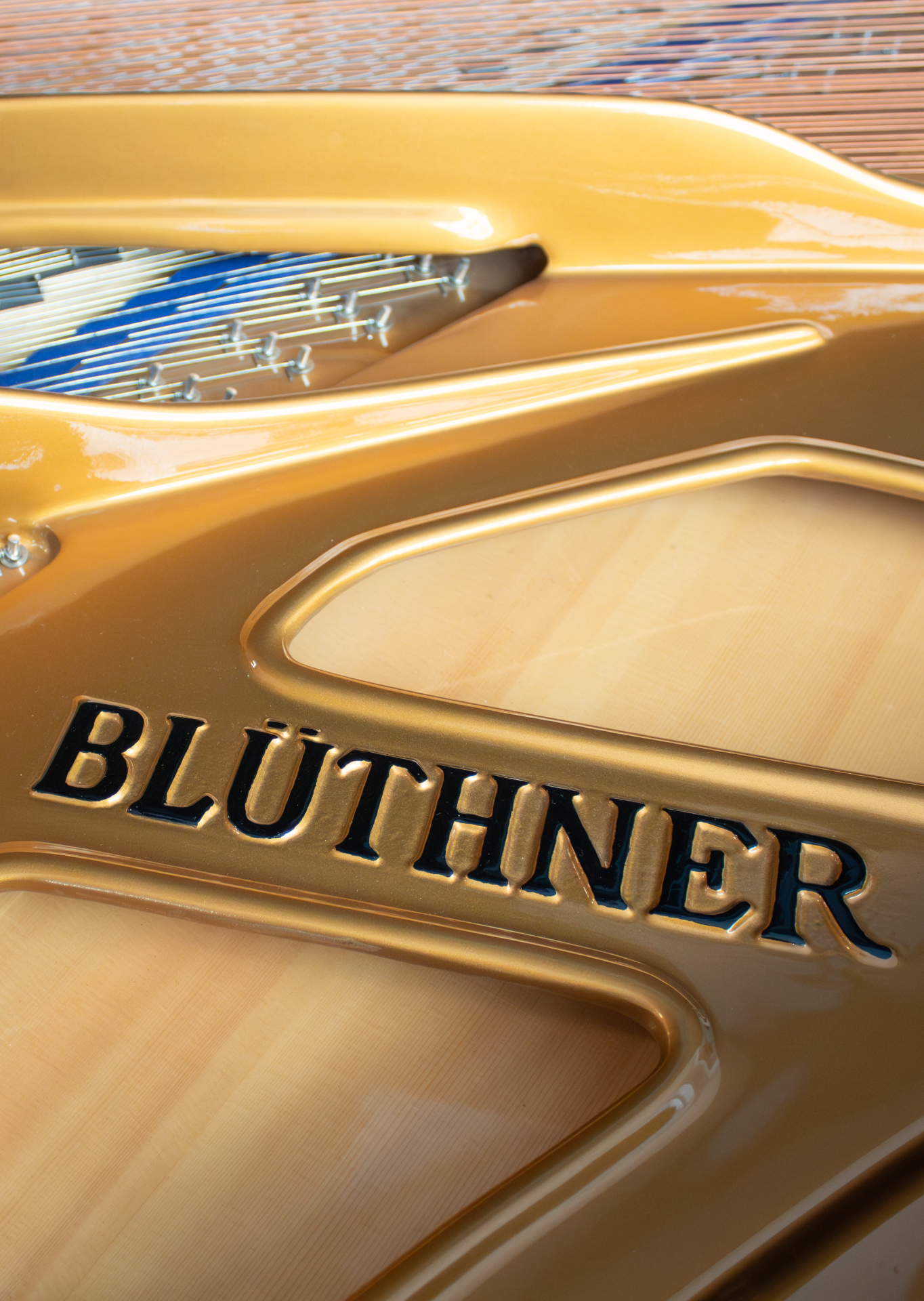 bluthner.DP Blüthner Concert 1 Expo