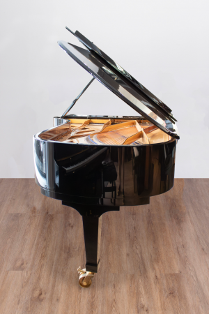 Blüthner Concert 1 Expo