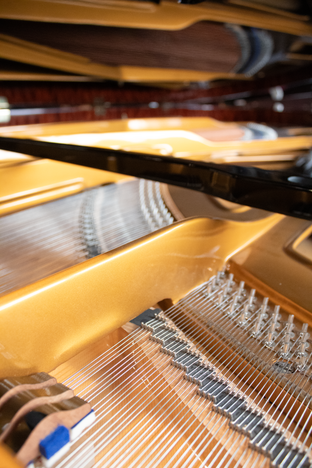 grand-piano-intérieur.DP Blüthner Concert 1 Expo