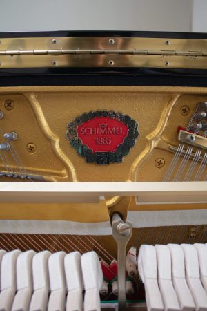 Schimmel Mario Ratko Delorko