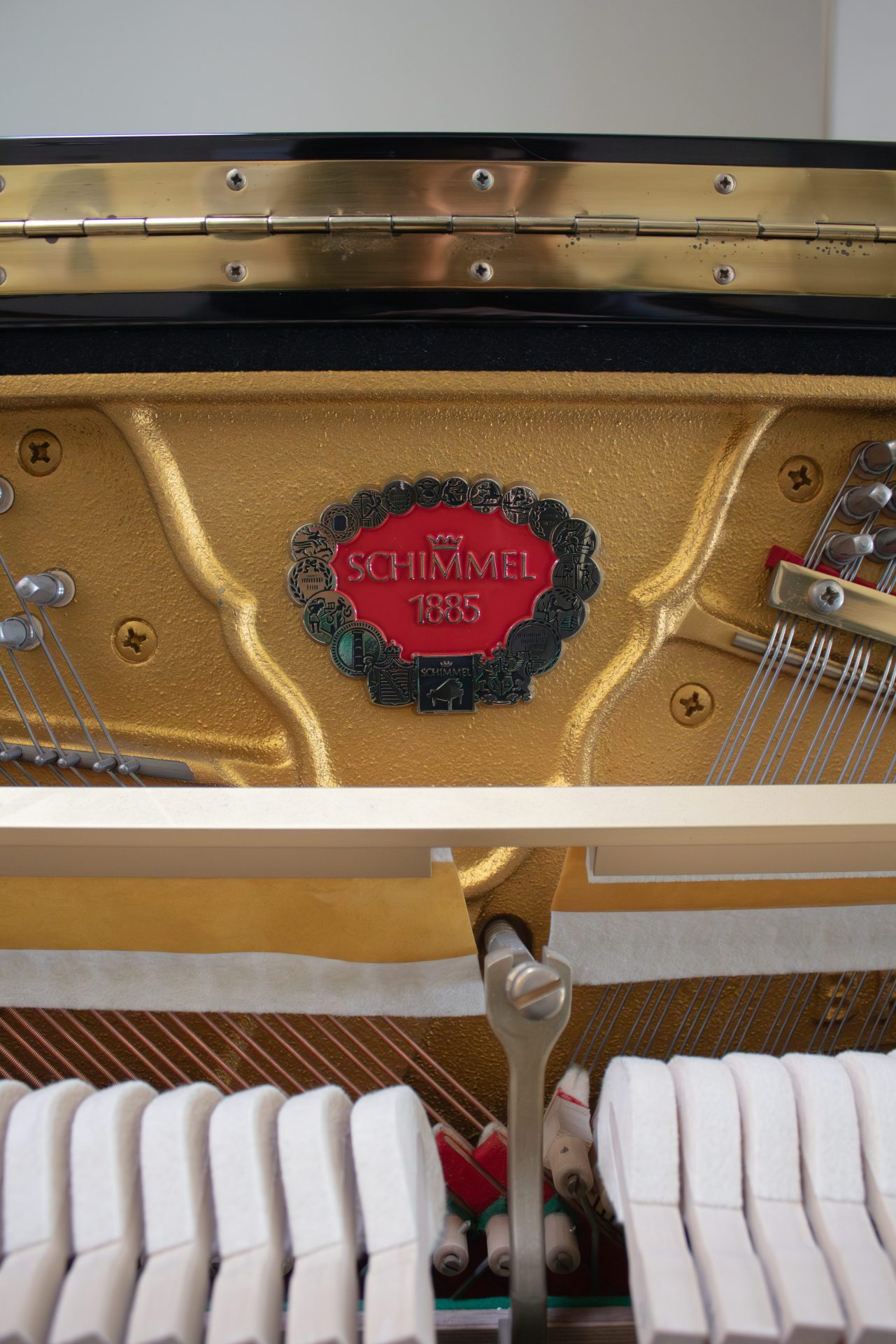 Schimmel Mario Ratko Delorko