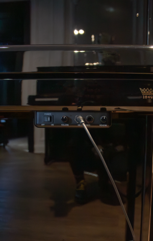 détail-seileur Seiler 116 Duovox