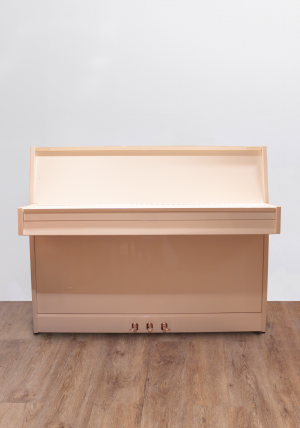 Rameau Beaucaire Renner SP