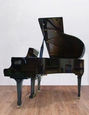 Ritmuller 160 RS EXPO