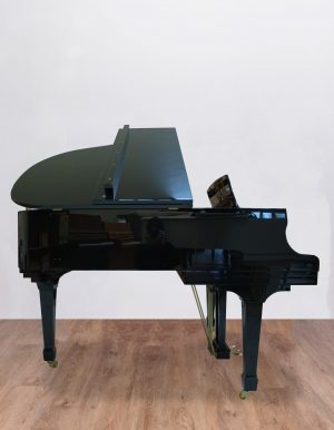 Ritmuller 160 RS EXPO