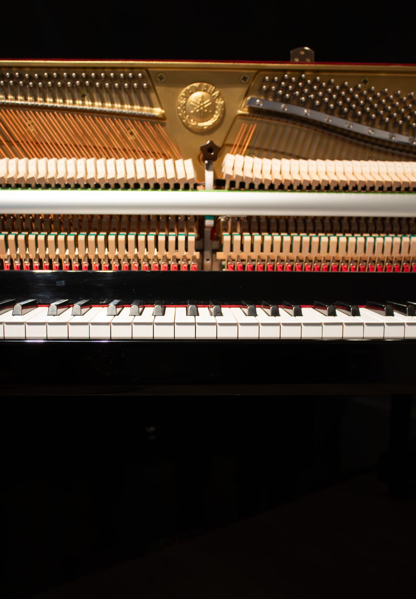 yamaha-b1-ouvert Yamaha B1 Silent SC1