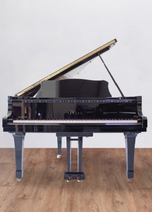 Yamaha G 2 Japon