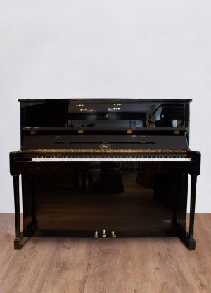 Ibach SP 120