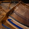 piano bluthner model 10 vue intérieure complète du cadre et des cordes