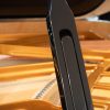 piano bluthner model 10 vue intérieure partielle cadre corde et béquille