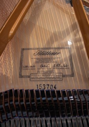 piano bluthner model 10 détail intérieur avec cordes et signature