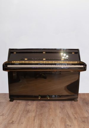 Schimmel Capriccio