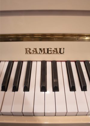 rameau-ivoir-logo.jpg
