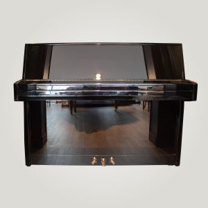 Rippen-vu-de-face-fermé