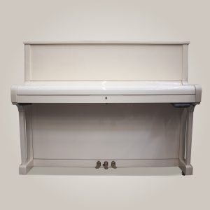 Ronisch115-silence-clavier-fermé-DPpainos